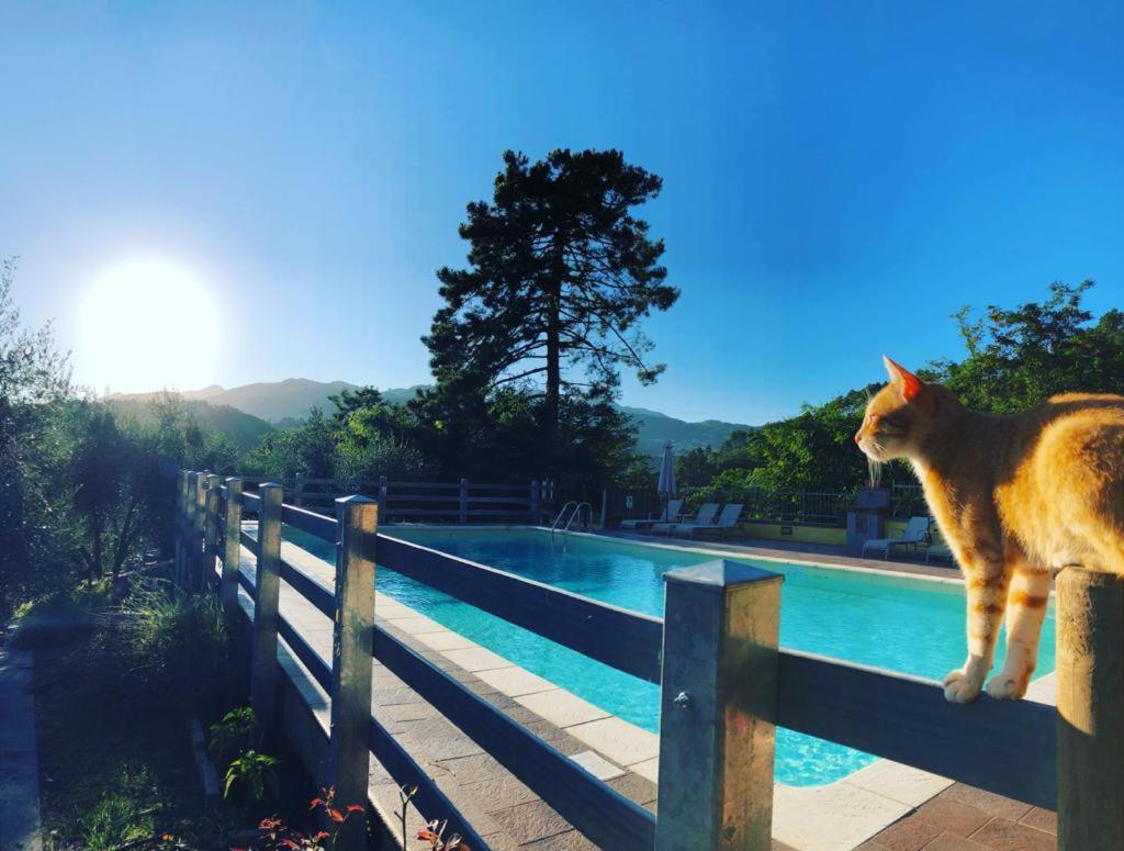 Agriturismo Il Pino San Martino in Freddana Buitenkant foto