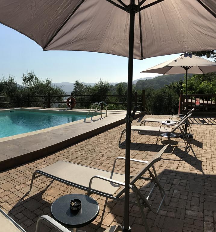 Agriturismo Il Pino San Martino in Freddana Buitenkant foto