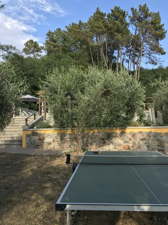 Agriturismo Il Pino San Martino in Freddana Buitenkant foto