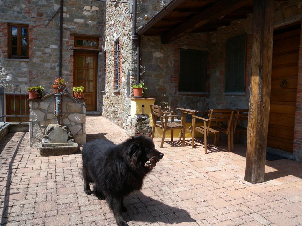 Agriturismo Il Pino San Martino in Freddana Buitenkant foto